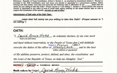 David-Bruce: Webb – County Clerk – District 3